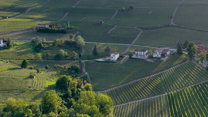 Fototapeta premium Aerial View of Lush Barolo Vineyards and Farmhouses in Piedmont Italy