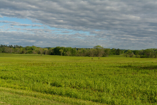 Wide grassy fields at Valley Forge&rsquo;s Grand Parade, showcasing peaceful natural landscape and historic surroundings in Pennsylvania.
