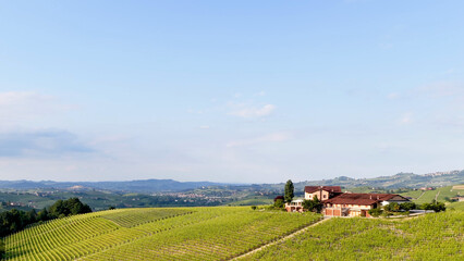 Fototapeta premium Rolling Hills and Lush Vineyards with a Farmhouse in Piedmont Italy