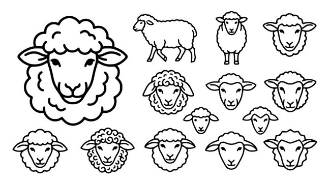Various sheep faces and bodies in a simple line art style