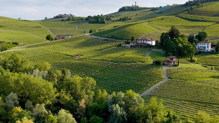 Fototapeta premium Aerial View of Rolling Barolo Vineyards and Villas in Piedmont Italy