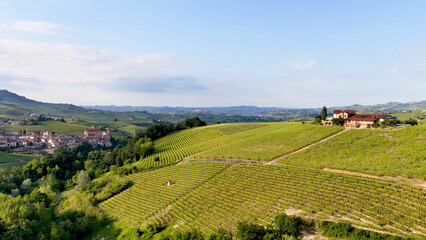 Fototapeta premium Aerial View of Rolling Barolo Vineyards and Farmhouses in Piedmont Italy