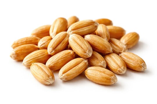 Individual wheat kernels and grains displayed with emphasis on surface texture against plain white
