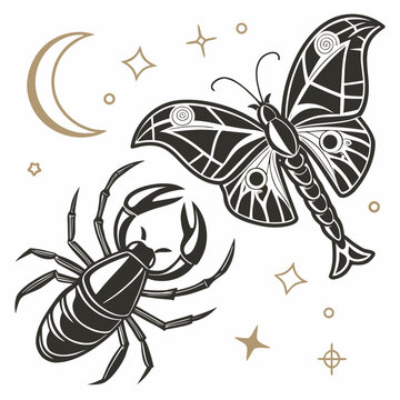 Stylized scorpion and moth graphic illustration with moon and stars, scorpion