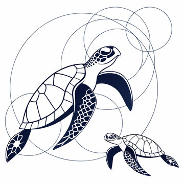 Two sea turtles swimming underwater abstract line art illustration with sea life
