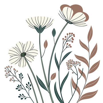 Contemporary botanical illustration with wildflowers and field berries, stylized