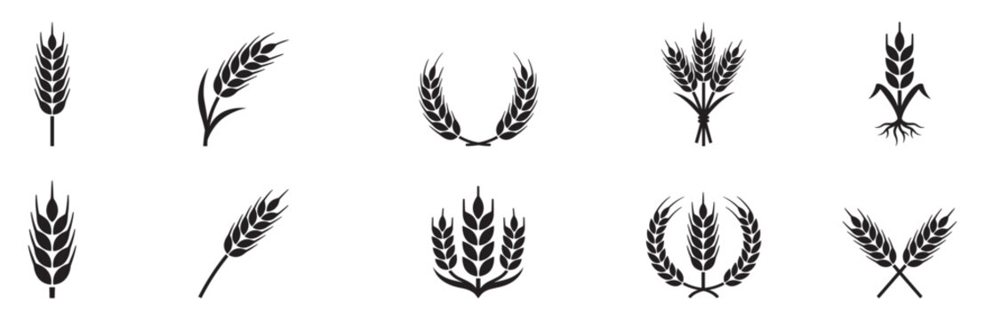 Wheat ears icon set. Barley and rye grain spikes. Agriculture and organic food symbol. Vector illustration. EPS 10