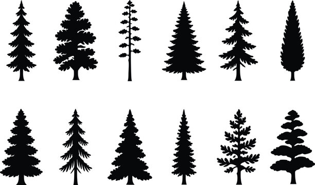 Pine tree silhouette vector set, fir tree vintage forest nature evergreen collection illustration