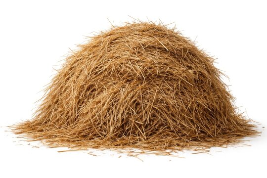 Dry haystack isolated on white surface perfect for collage design