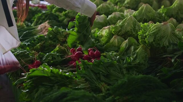 Local market culture authentic street market life with fresh vegetables hand selecting radishes at produce stall organic shopping in bazaar concept