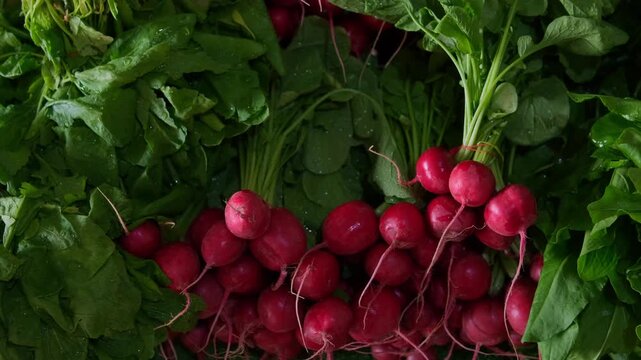 Healthy organic lifestyle food realism and texture close up fresh radishes with green leaves at market stall, natural produce concept fresh vegetable detail