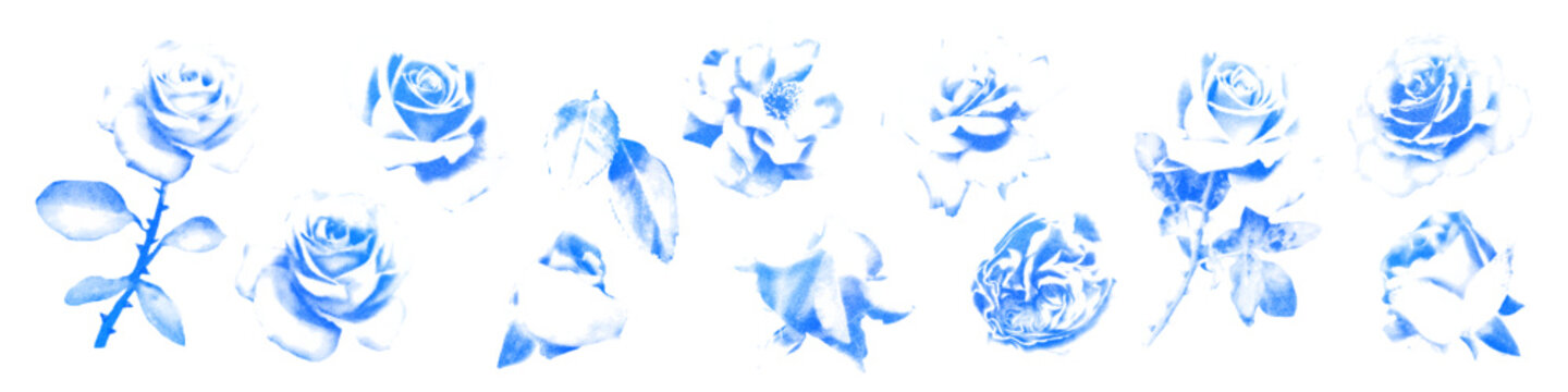 Blue cyanotype roses elements set. Halftone gradient flower heads and leaves. Vintage stipple dotted texture. Gritty botanical stickers. Modern retro scrapbook and collage vector illustration isolated