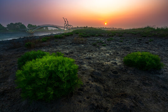 Scenic sunrise over Sorae Pogu Wetland Ecological Park with Miraedari Bridge and green seepweed bushes on muddy ground in Incheon, South Korea.