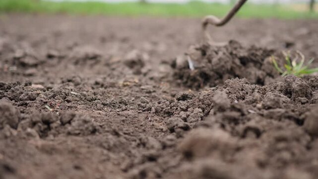 Low angle close-up shot of fertile dark soil on a farm field with a blurry garden hoe tool weeding and loosening ground in the background. Concept of organic agriculture, springtime gardening and eco 
