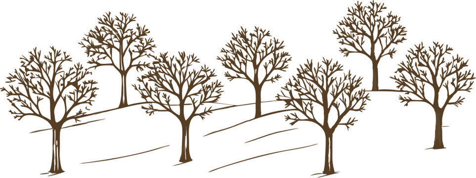 Bare autumn trees on gently rolling hills brown leafless deciduous winter landscape silhouette
