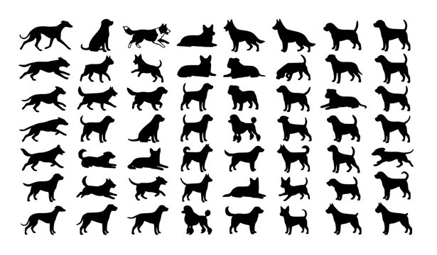 Collection of Dog Silhouettes in Various Poses Black Pet Vector Set