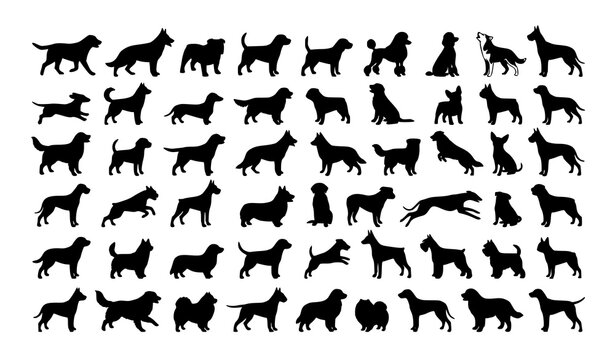 Dog Breed Silhouette Set Vector Illustration with Different Poses and Standing Dogs