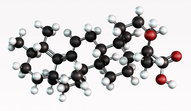 Beta-Boswellic acid pentacyclic terpenoid molecule. Produced by plants in the genus Boswellia, exhibits anti-inflammatory behavior. Molecular model. 3D rendering