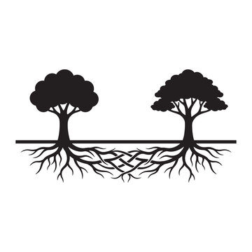 Two trees with intertwined roots silhouette on a white background representing family connections