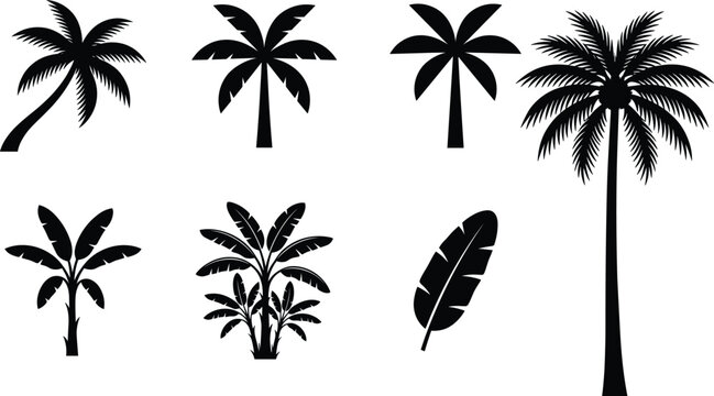 Black silhouette of tropical palm and banana trees vector illustration collection isolated on white background