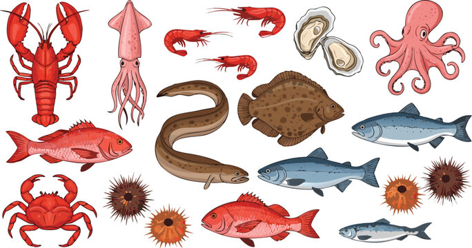 Seafood and Marine Animal Illustration Set Featuring Fish, Lobster, Shrimp, Oyster, Squid, Crab, and Ocean Wildlife Designs