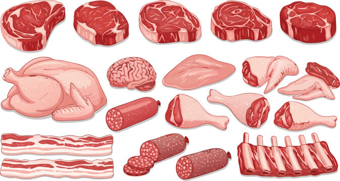 Raw Meat Illustration Set Featuring Beef Steaks, Chicken Cuts, Bacon, Sausages, and Fresh Butcher Food Ingredients