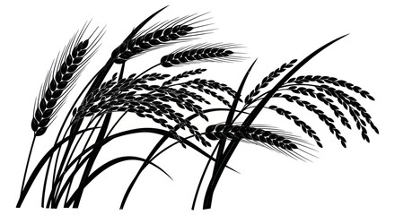 Fototapeta premium Wheat and Rice Stalks Silhouette Vector Illustration