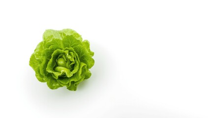Obraz premium Fresh Green Lettuce Leaves Isolated on White Background Top View, Vibrant Color