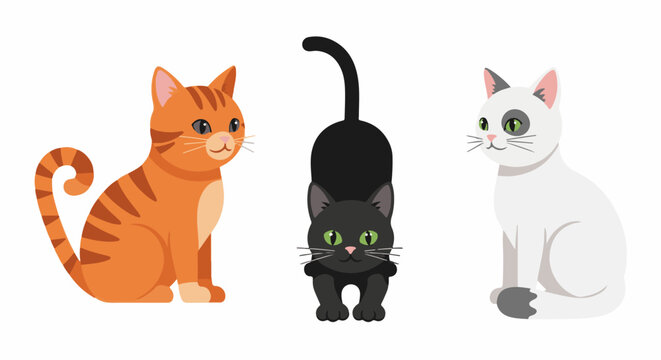 Three cartoon cats orange tabby, black, and white with grey patch