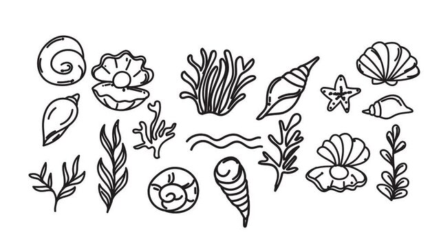 hand drawn sea shell doodles abstract animation, ocean marine sketch elements motion graphic video, beach themed shell illustration background animation