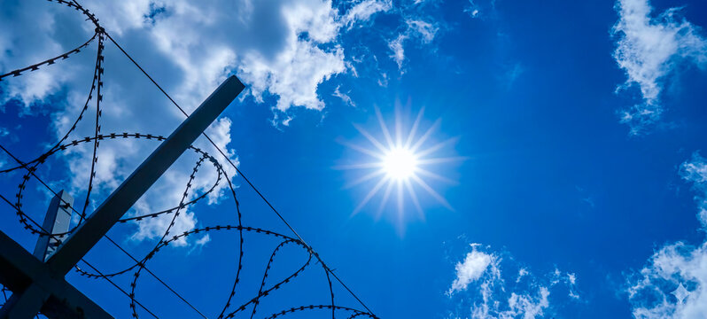 barbed wire fence
