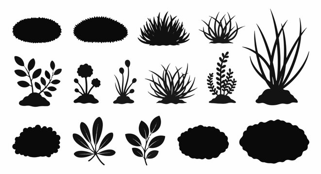 Flat black solid vector icon set featuring various species of moss, lichens, and bryophytes, ideal for botanical research, forest biology, nature-themed branding, and ecological design.