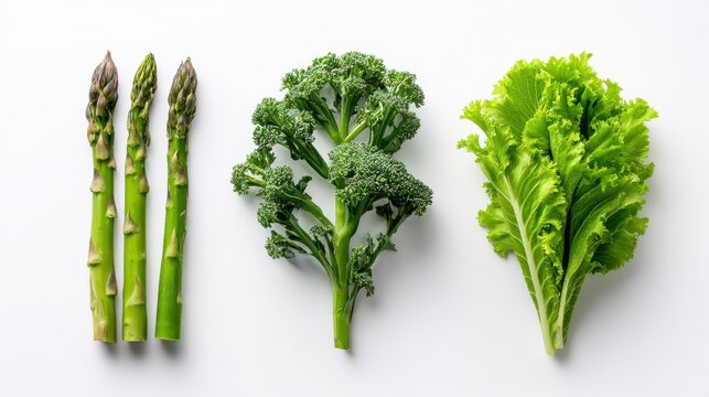 Three types of fresh green vegetables arranged neatly on a white background showcasing their freshness