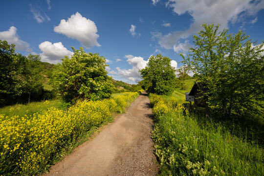 Aulheimer Tal (Flonheim) Mai 2026