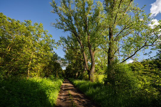 Aulheimer Tal (Flonheim) Mai 2026