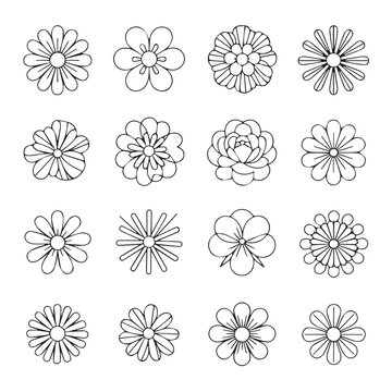 Colorful flower pattern seamless vector background isolated on white background, Vector