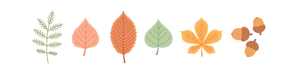 Horizontal arrangement of five colorful autumn leaves, small branch and three acorns. Cozy vector elements for seasonal thanksgiving greeting cards and warm harvest design © Sunflower