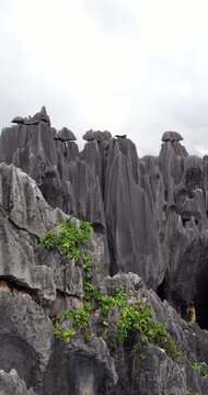 Towering fluted limestone pillars with precarious capstones rising from deep karst valley in Shilin Stone Forest. Vertical pan right reveals sequence of serrated pinnacles topped with balancing rocks.