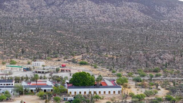 Sunrise lights up Catavina in Baja California with aerial views of desert plants like cirios, cardon cacti, and blue palms.