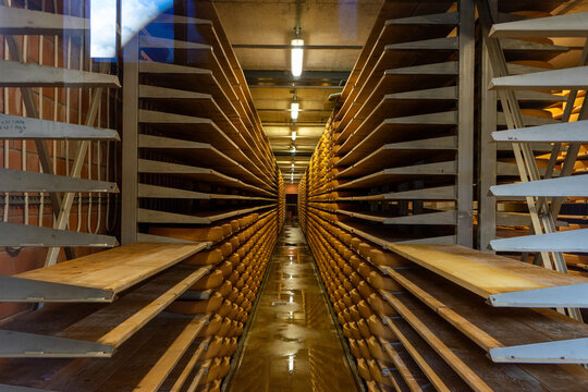 View of traditional Gruyere cheese wheels aging on wooden shelves in a long industrial cellar aisle Gruyeres, Fribourg, Switzerland.