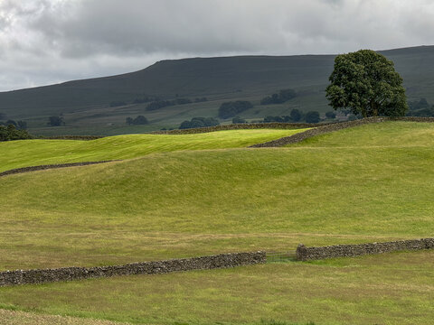 View of rolling green hills and traditional dry stone walls under a cloudy sky in the Yorkshire Dales Hawes, England, United Kingdom.