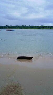 Serene Driftwood Beach with Distant Tropical Island and Boat in Neemo reefAndaan