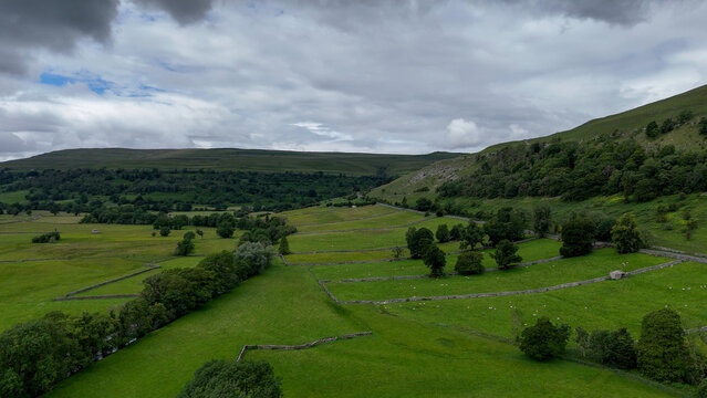 View of lush green pastures divided by traditional dry stone walls and scattered trees under a dramatic cloudy sky in the Yorkshire Dales, Hawes, England, United Kingdom.