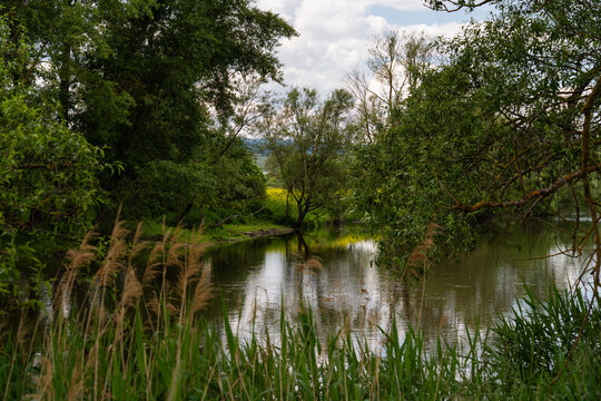 Naturschutzgebiet am ehemaligen Deichhof Langenlonsheim/Gensingen