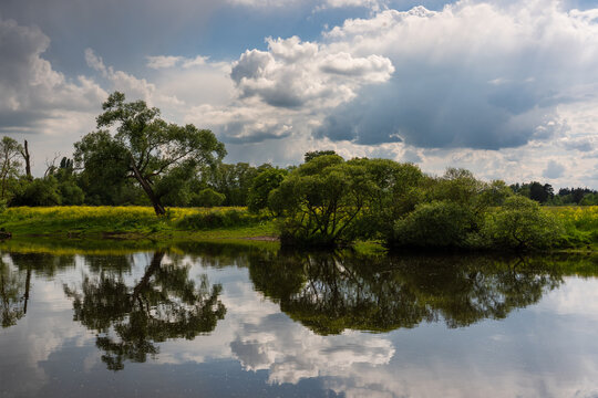 Naturschutzgebiet am ehemaligen Deichhof Langenlonsheim/Gensingen