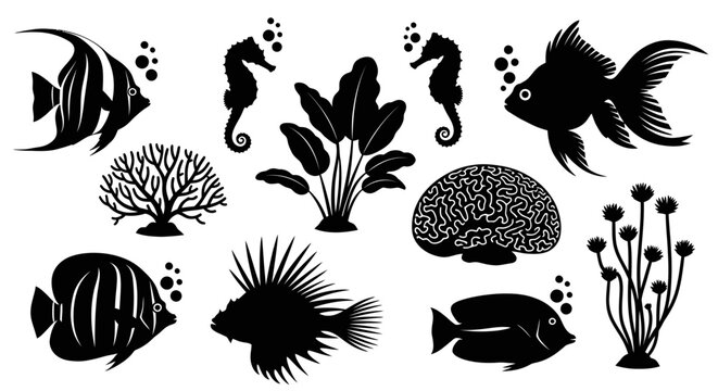 Black silhouettes of various sea creatures.