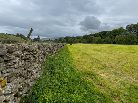 View of a traditional dry stone wall bordering a lush green pasture under an overcast sky in the countryside Hawes, England, United Kingdom.
