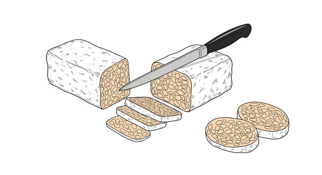 Hand-drawn culinary illustration showing a block of tempeh being sliced with a chef knife on a clean white background for food concepts.