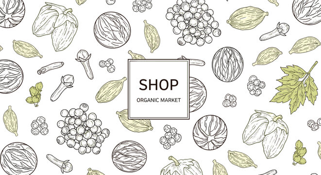 Organic market shop label centered on a pattern of hand drawn spices including cardamom pods, cloves, nutmeg, and black pepper.