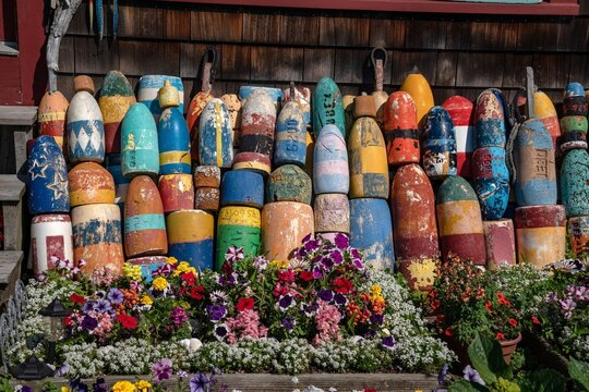 View of colorful weathered lobster buoys hanging on a wooden shingle wall with vibrant blooming flowers in the foreground in Edgartown, Massachusetts, United States.